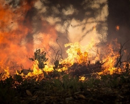 Пожарът край Девин е унищожил 70 дка гора