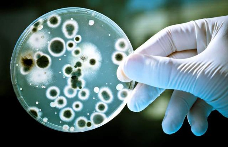 Мъж се зарази с месоядна бактерия, която изяде 25% от кожата му
