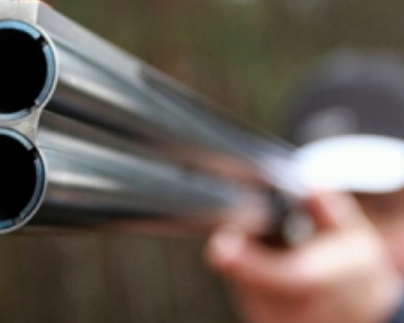 26-годишен мъж застреля бездомно куче с пушка