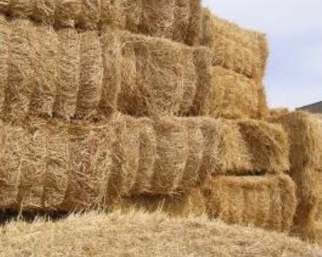 Ученик предизвика пожар! Подпали 120 бали слама