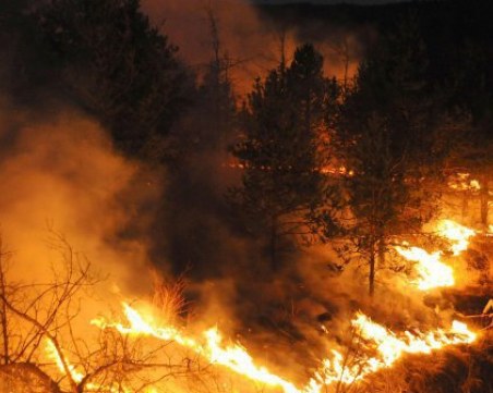 Локализираха огромния пожар край Сливен, засегнал 1500 дка гори и 700 дка ниви