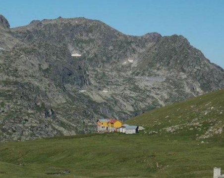 Туристи намериха труповете на шест крави в Рила