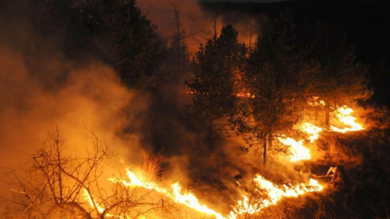 Локализираха огромния пожар край Сливен, засегнал 1500 дка гори и 700 дка ниви