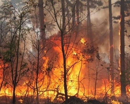 Пловдивски доброволци участваха в потушаването на два горски пожара