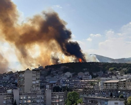 Децата от дом 