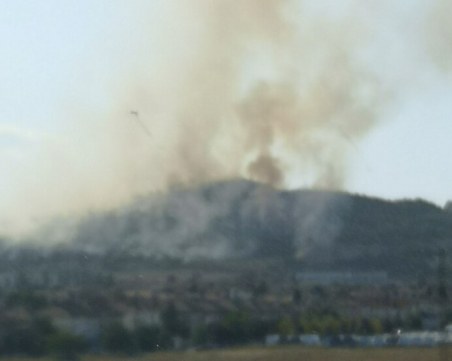 Голям пожар бушува в гора край Сливница