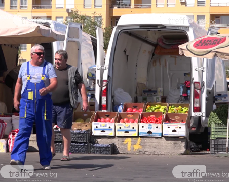 Пробутват ни турски хибрид за розов домат