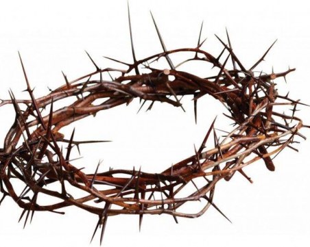 Скритите послания: Акацията символизира слънцето, прераждането, безсмъртието  и новото начало