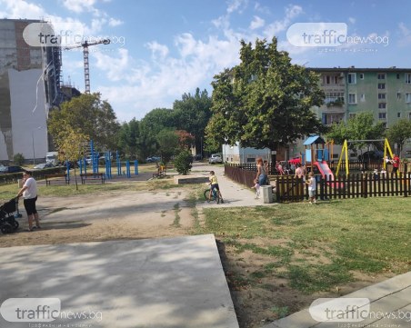 Има и такива фирми! Аутсорсинг компания и служителите й преобразиха парк в Пловдив