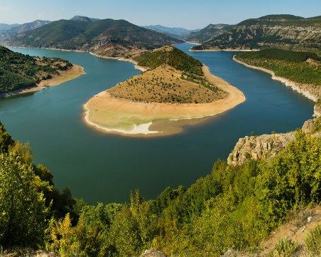 Нов случай на Африканска чума в Родопите! Забраняват риболова на язовир 