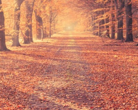 Какво време ни очаква за дългия уикенд?