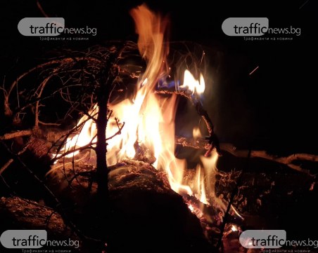 Над 800 декара гора са изпепелени в Пловдивско