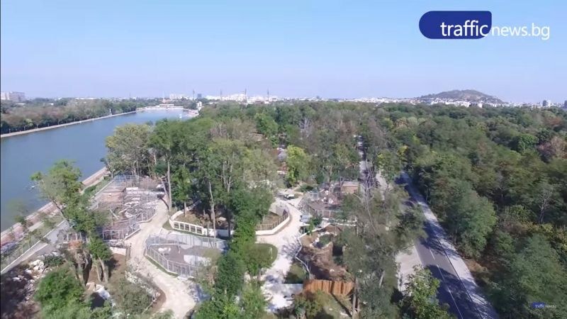 Строителите на зоопарка в Пловдив не искат да го довършват, Тотев им прекратява договора