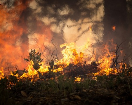Голям пожар избухна край пловдивски язовир
