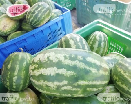 Гръцката диня като гръцкото море