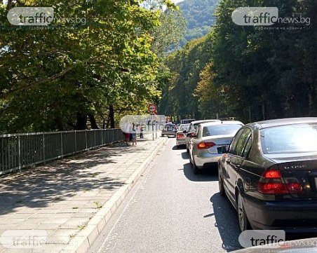 Стотици изпълниха Бачковския манастир на Малка Богородица, по пътя се образува тапа
