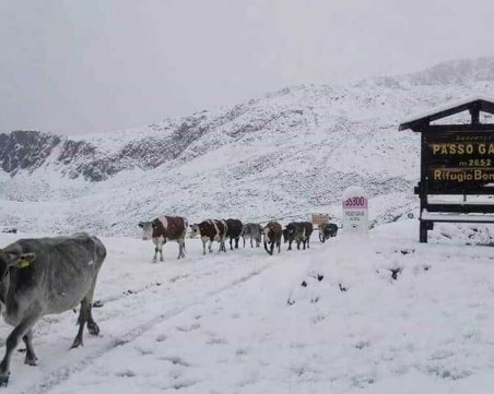 Сняг падна в Италия и Швейцария