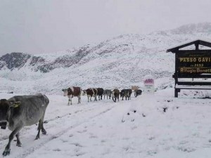 Сняг падна в Италия и Швейцария
