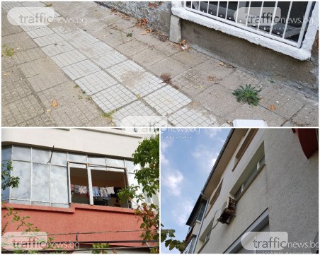 До 3 години затвор грозят родителите на падналото дете в Пловдив