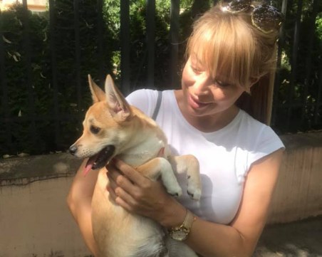 Мира Добрева спаси изгубено кученце, търси стопаните му