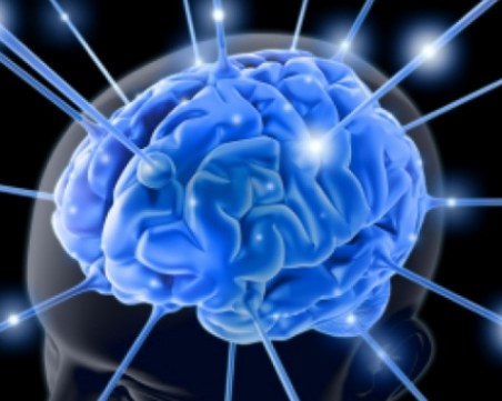 Как да се предпазим от заболявания на сърцето и мозъка представят в Александровска болница