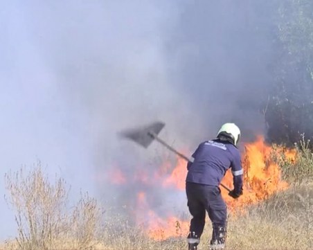 Пожар в коритото на река Марица задими Пазарджик