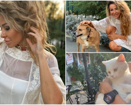 Голямото сърце на пловдивската дизайнерка Петя Джофра - за животните с любов