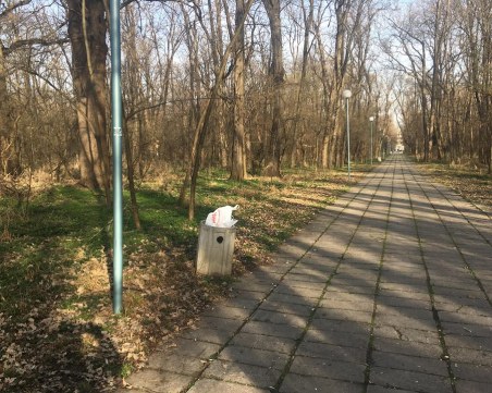 Организират акция за почистване на парк Лаута в Пловдив