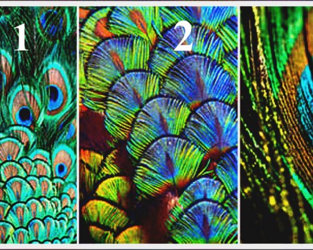 Перото, което изберете, показва какъв човек сте