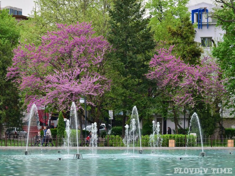 Пеещите фонтани в Пловдив с нов начален час на музикалната програма