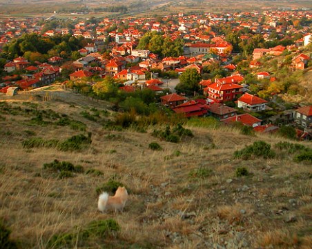 Жители на пловдивско село готвят блокада на околовръстното