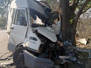 20-годишен се блъсна в дърво, вадиха го екипи на пожарната