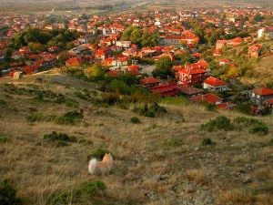 Жители на пловдивско село готвят блокада на околовръстното