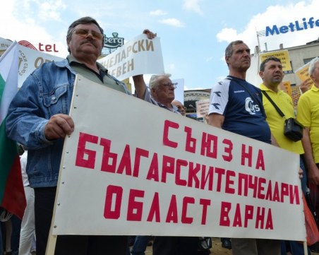 Пчелари: Пестицидите ни убиват, затвор за ползването им!