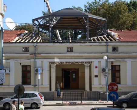 Пеперудата на кралица Александра каца в Природонаучния музей в Пловдив