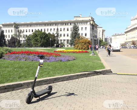 И кестените цъфнаха за Деня на София