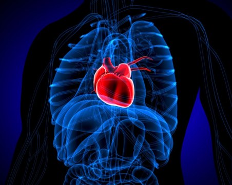 Какво се случва в тялото ни, когато някой разбие сърцето ни