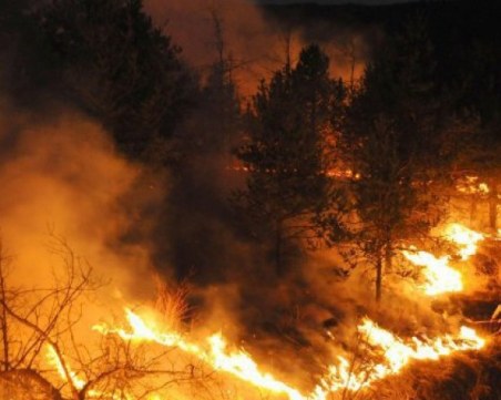 Остава усложнена пожарната обстановка на територията на област Пазарджик