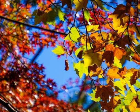 Жега в цялата страна, от сряда идват вятър и облаци