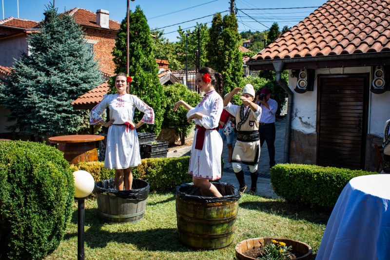 Вино се лее в Брестовица! Гроздоберът стартира с фолклорна програма и кулинарни изкушения
