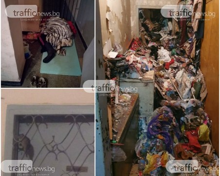 Хорър филм в Пловдив! Зараза се стеле в жилищен блок, плъхове пълзят по етажите, а жена мъкне боклуци 20 години