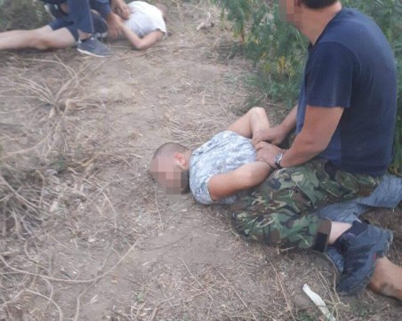 Хванаха кандидат-кмет да полива плантация с канабис