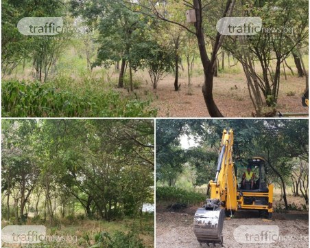 Свърталище на наркомани и проститутки става райски кът на Пловдив