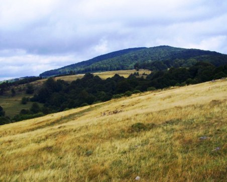 Издирваха две жени в Средна гора до 3ч. през нощта