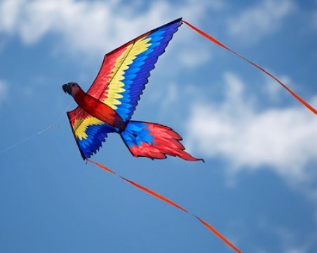 Стотици хвърчила изпълват небето над Шабла