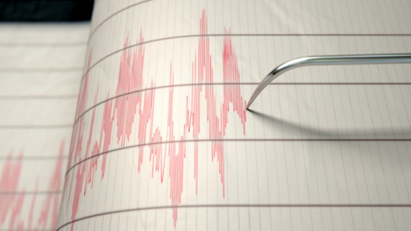 Земетресение в Пловдивско! Трусът е регистриран край Садово