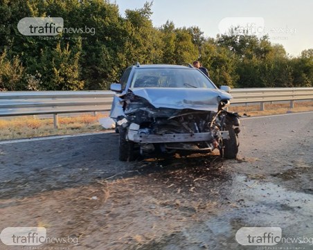 Кола се удари в мантинелата на 
