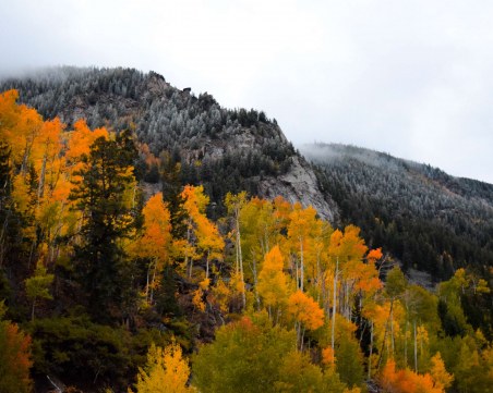 Студът настъпва: В Родопите температурите паднаха до нула