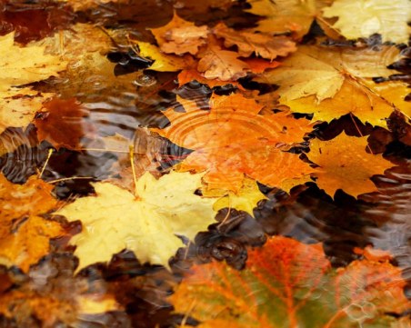 Затопля се, но с есенно слънце