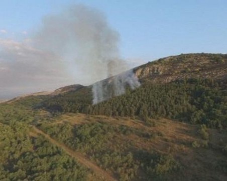 Пожар край Стара Загора затрудни движението, запалил се е горски масив